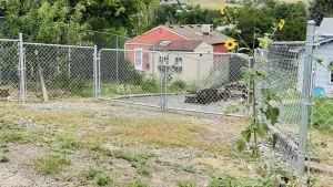 Chain link-2