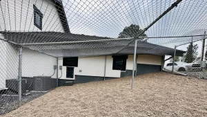 Chain link-4