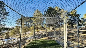 Chain link-7