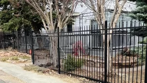 Ornamental fences-4