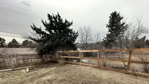 Ranch rail-5
