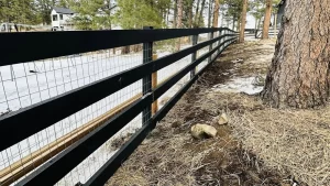 Ranch rail-8