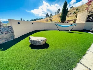 Denver Turf Installation Company